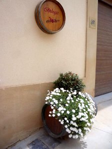 Villabuena - 15