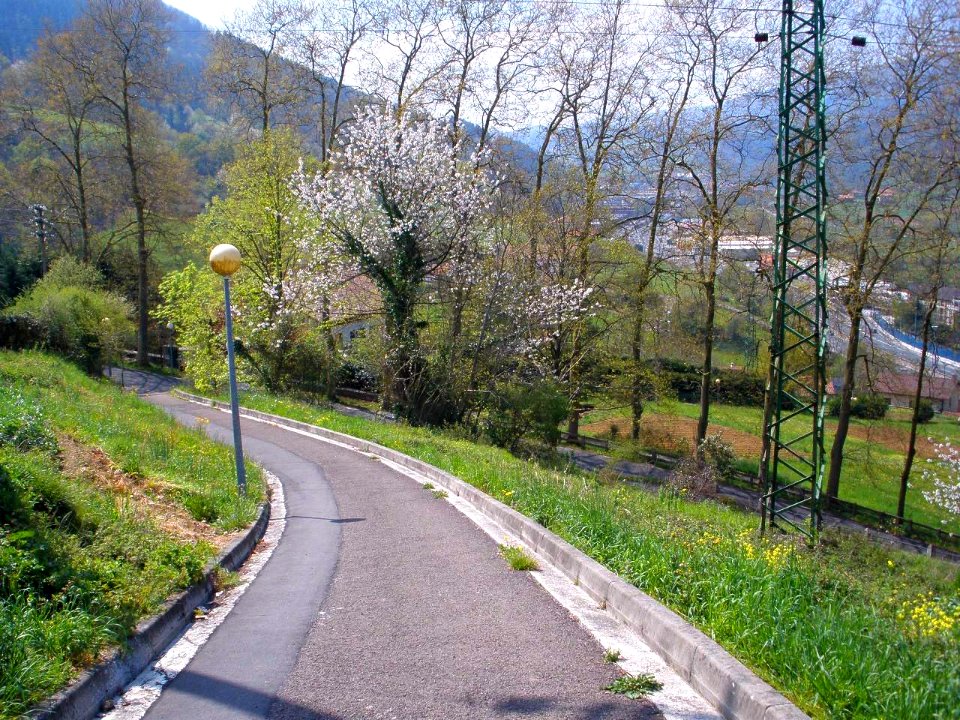 Villabona, barrio de Amasa 19