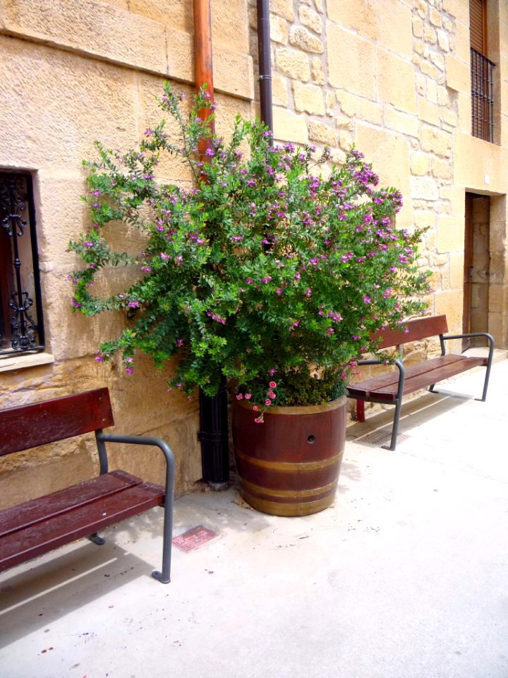 Villabuena - 09