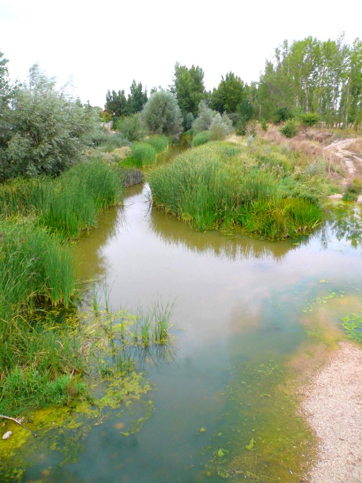 Villasandino - Río Odra