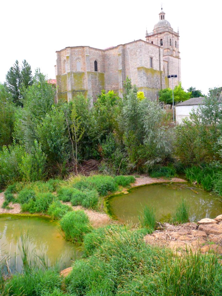 Villasandino - Río Odra e Iglesia de la Asunción