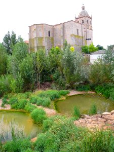 Villasandino - Río Odra e Iglesia de la Asunción