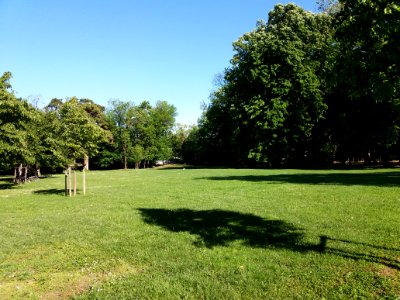 Villeurbanne - Parc de la Commune de Paris, pelouse (3)