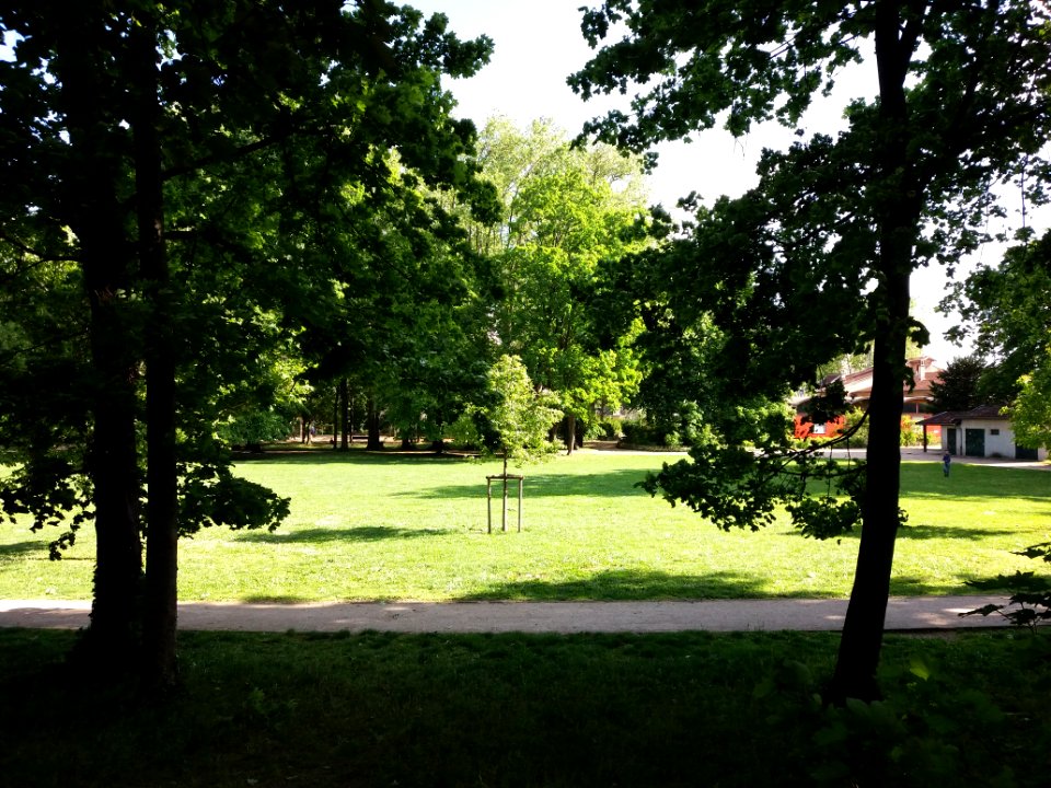 Villeurbanne - Parc de la Commune de Paris, pelouse (2)