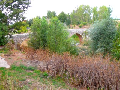 Villasandino - Puente medieval sobre el Odra 5