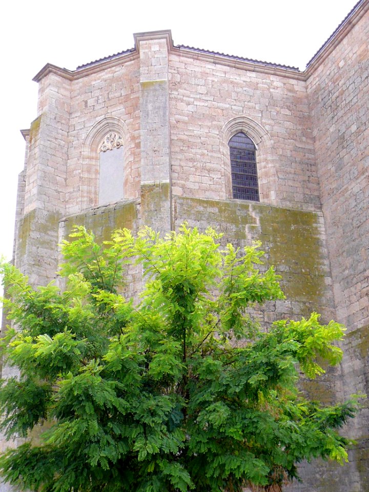 Villasandino - Iglesia de Nuestra Señora de la Asunción 10