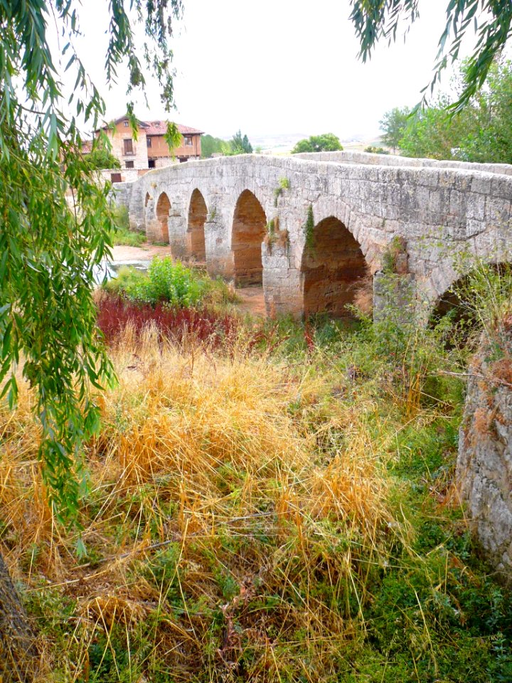 Villasandino - Puente medieval sobre el Odra 1