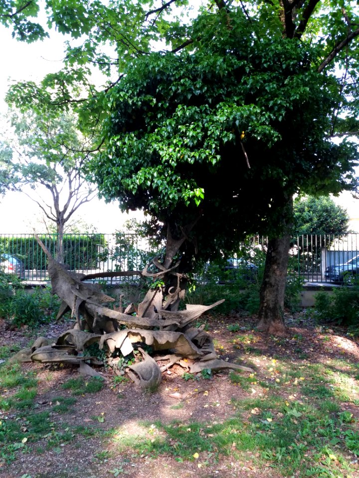 Villeurbanne - Parc de la Commune de Paris, vestiges sous un arbre