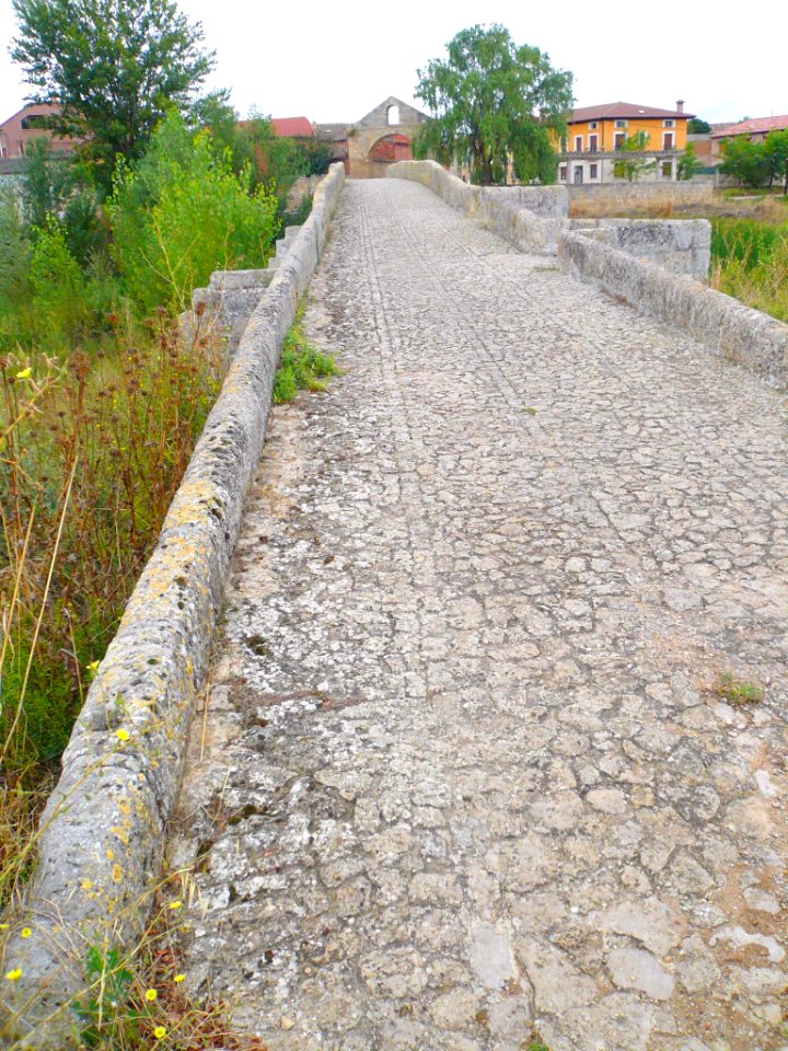 Villasandino - Puente medieval sobre el Odra 4