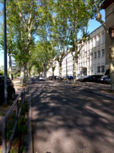 Villeurbanne - Rue Alfred de Musset, côté est depuis l'Autre Soie