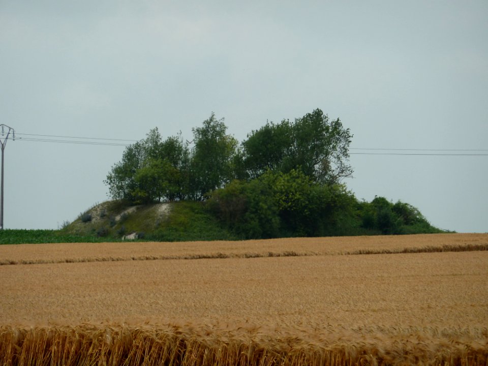Villers-le-Bouillet-Tumulus van Vaux (1)