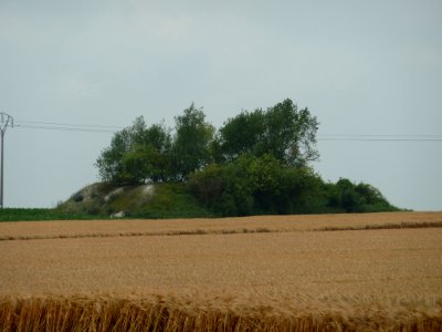 Villers-le-Bouillet-Tumulus van Vaux (1)