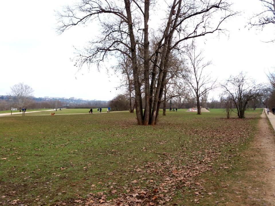 Villeurbanne - Parc de la Feyssine - Plaine