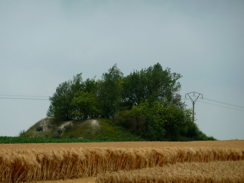 Villers-le-Bouillet-Tumulus van Vaux (2)