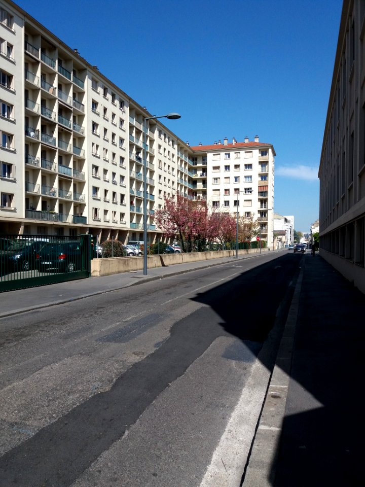 Villeurbanne - Rue Greuze, depuis le cours Émile Zola