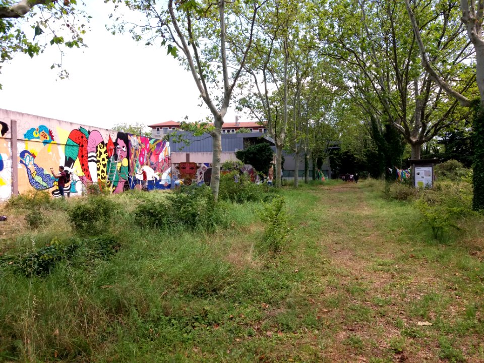 Villeurbanne - L'Autre Soie, Urban art jungle festival 5 (3)