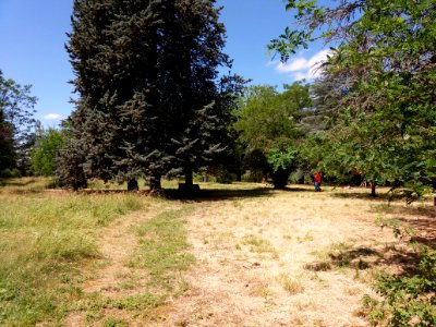 Villeurbanne - L'Autre Soie, parc (2)