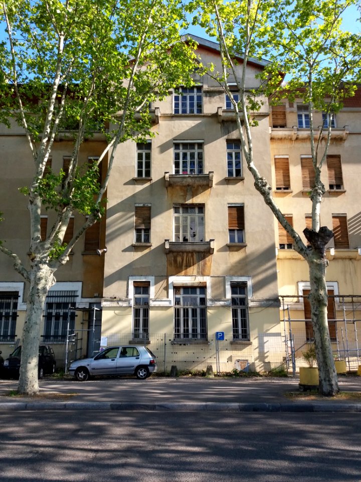 Villeurbanne - L'Autre Soie, façade (4)