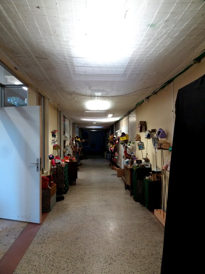 Villeurbanne - L'Autre Soie, couloir menant à la Rotonde (2)