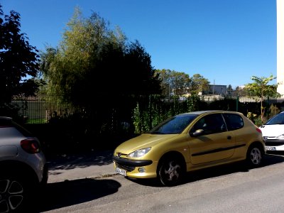 Villeurbanne - Rue Jean Bourgey, jardin partagé