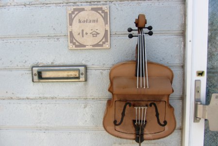 Violin-shaped-mailbox photo