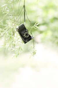 Antique camera shooting