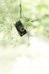 Antique camera shooting photo