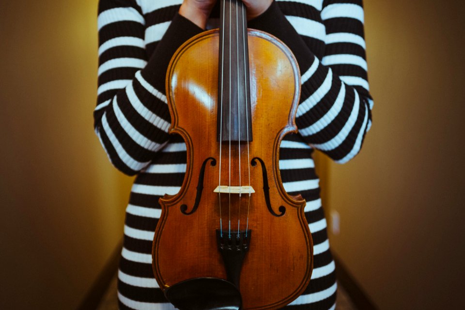 Violin (139307167) photo