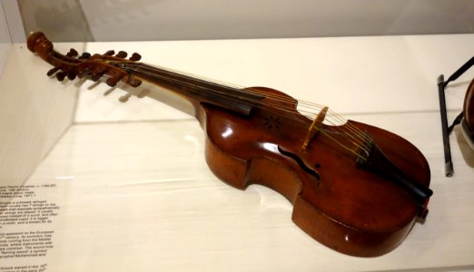 Viola d'Amore, Johann Franz Placht, Austria, 18th century, spruce and maple, metal - Huntington Museum of Art - DSC05114
