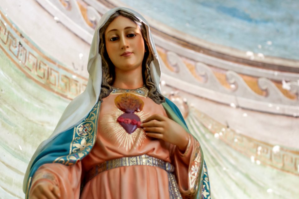 Virgin Heart of Jesus