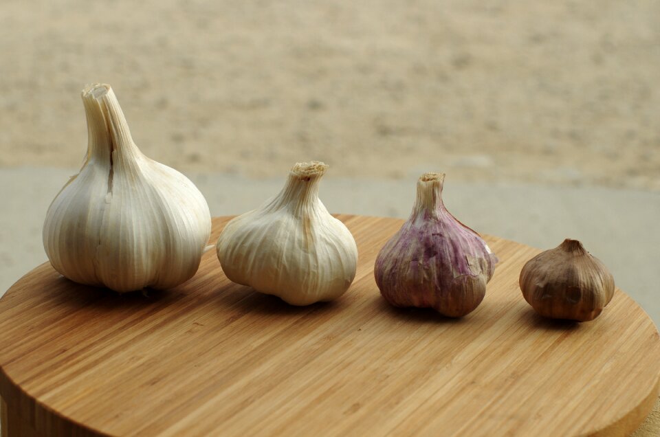 Garlic garlic elephant food