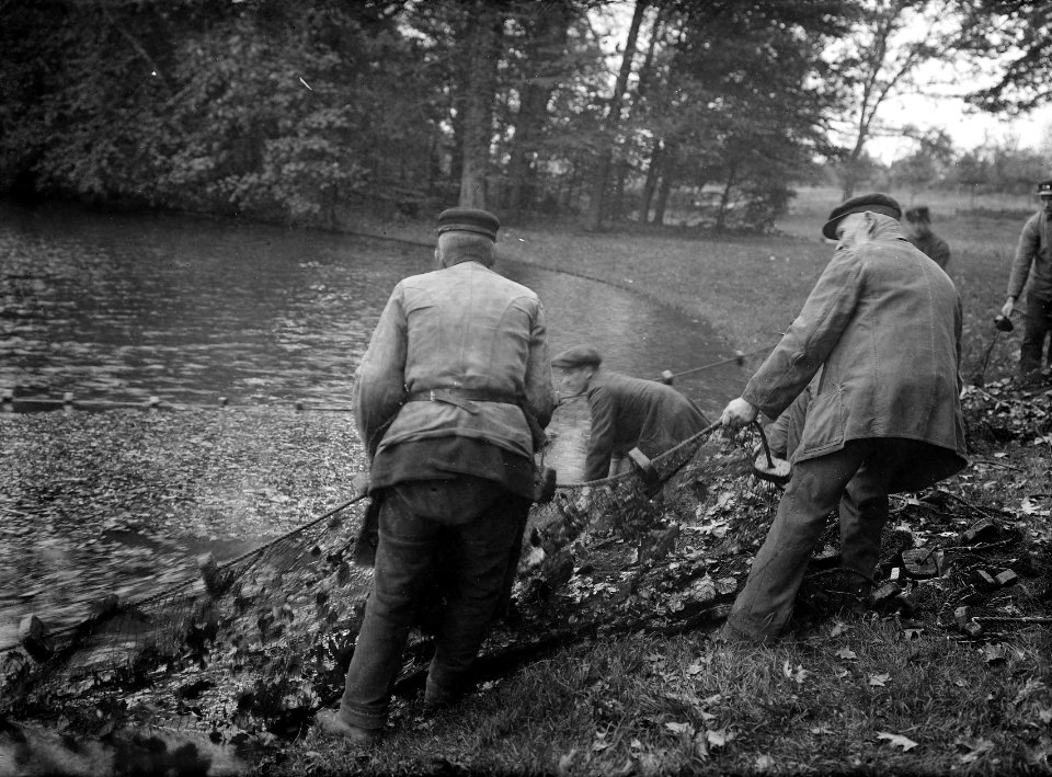 Viskwekerij in Park Sonsbeek te Arnhem Zegenvissen in de Grote Vijver, Bestanddeelnr 164-0352
