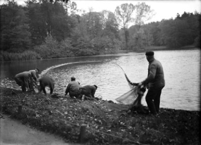 Viskwekerij in Park Sonsbeek te Arnhem Zegenvissen in de Grote Vijver, Bestanddeelnr 164-0351