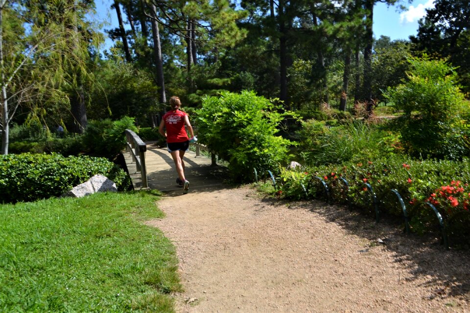 Woman jogging grass trees