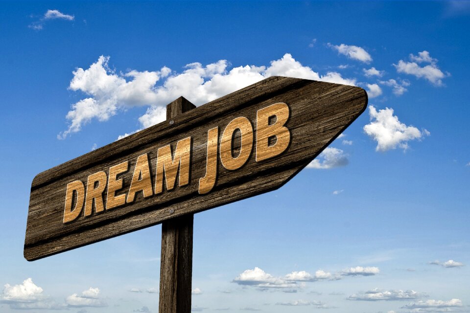 Job work looking for a job