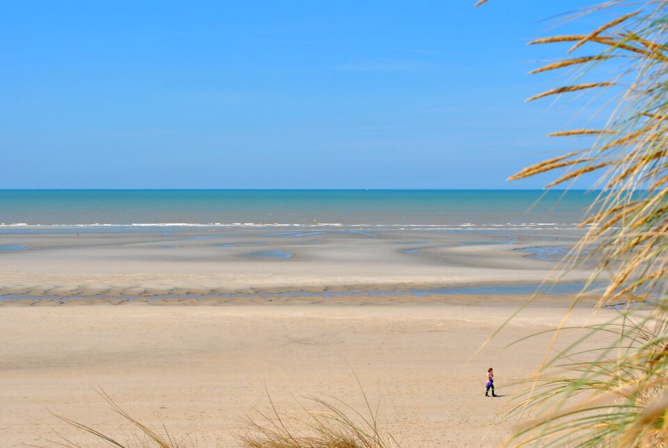 Low tide channel france
