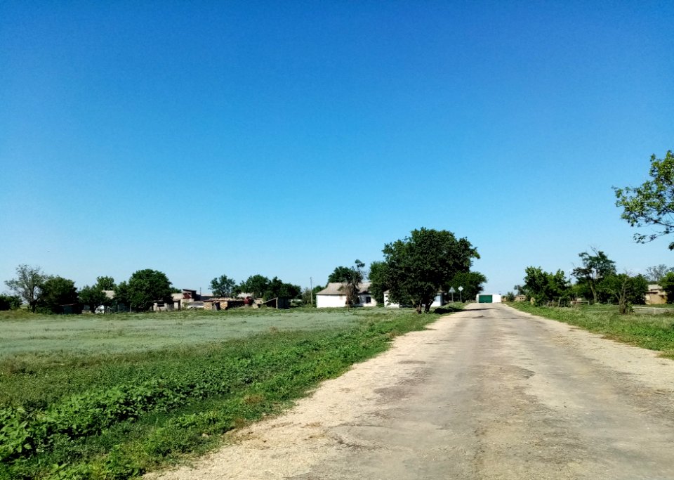 VipasnoePer 7