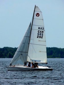 Viper 640 sailboat 3008