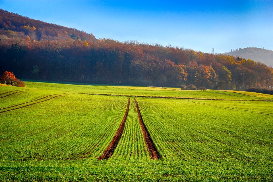 Sky blue agriculture