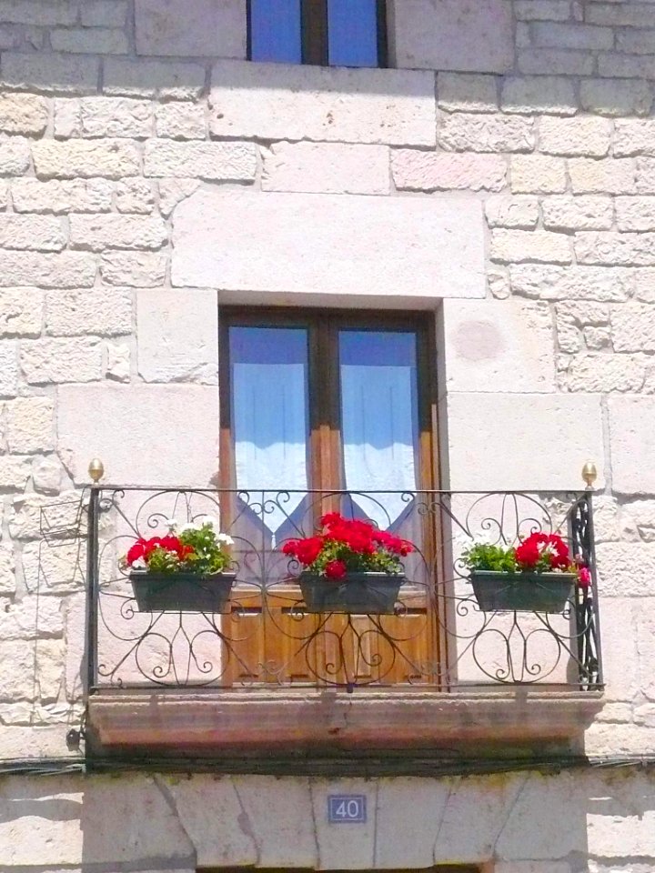 Villanueva de Valdegovía 12