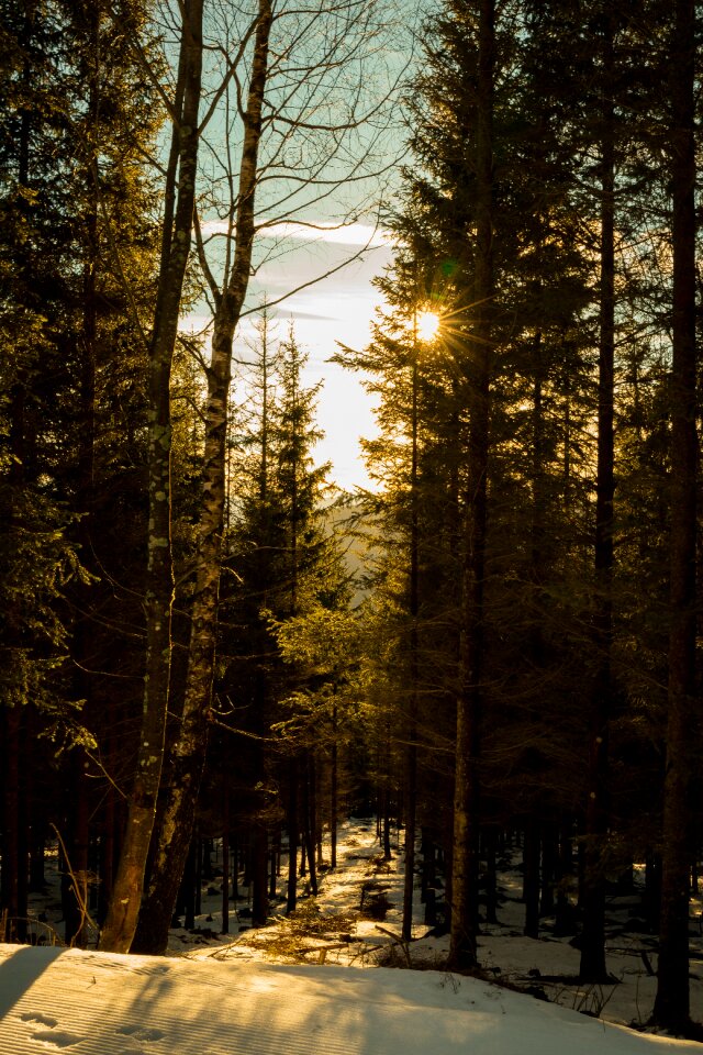 Outdoors landscape light