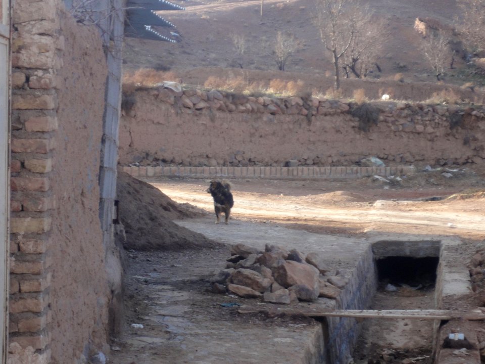Village of Ma'dan - Nishapur 19