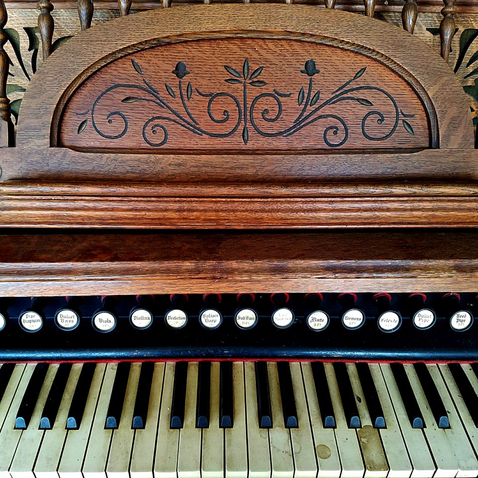 Vingagte Organ Keys