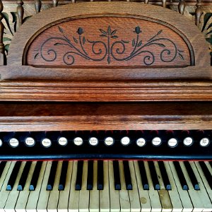 Vingagte Organ Keys photo