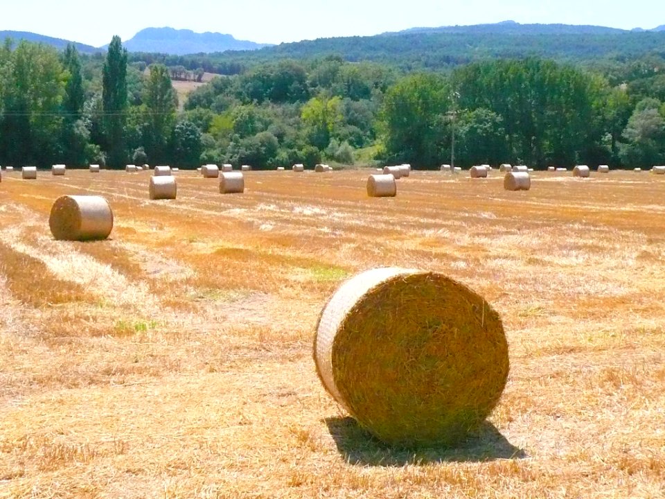 Villanueva de Valdegovía 41