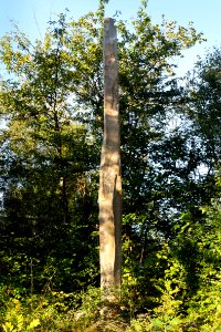 Vindbräcka menhir northeast side 3