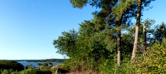 Vindbräcka menhir and Brofjorden panorama