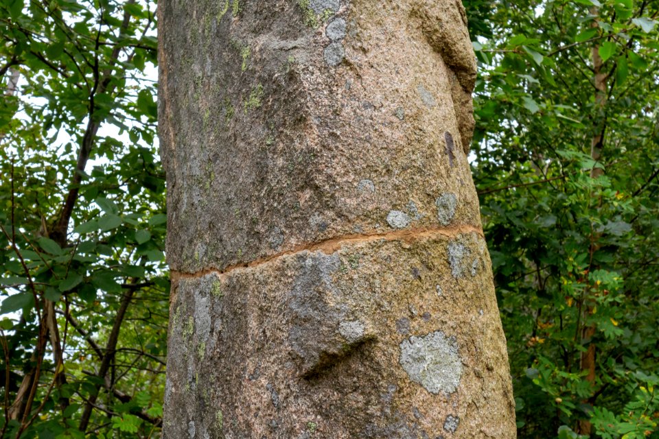 Vindbräckastenen repair