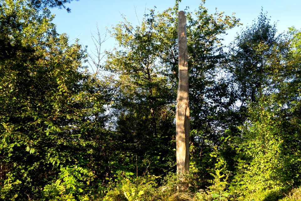 Vindbräcka menhir northeast side 1