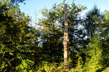 Vindbräcka menhir northeast side 1
